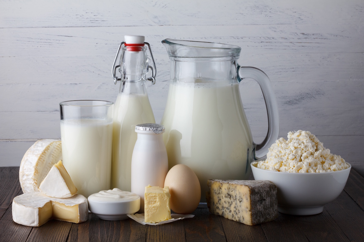 Dairy Products Dairy Products