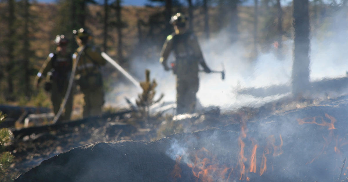 How to Detox after Wildfire Smoke Inhalation