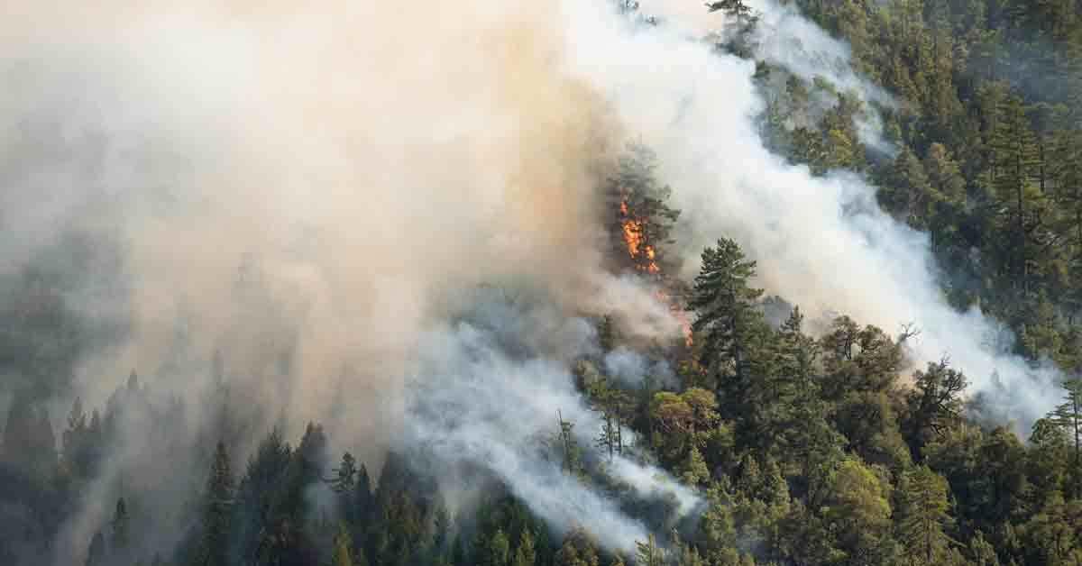 Smoke Inhalation Symptoms & Treatments