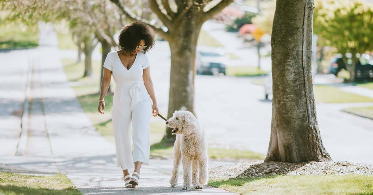 Woman walking the dog. Woman walking the dog.